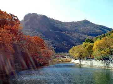 新澳天天开奖资料大全旅游团，穿越文学